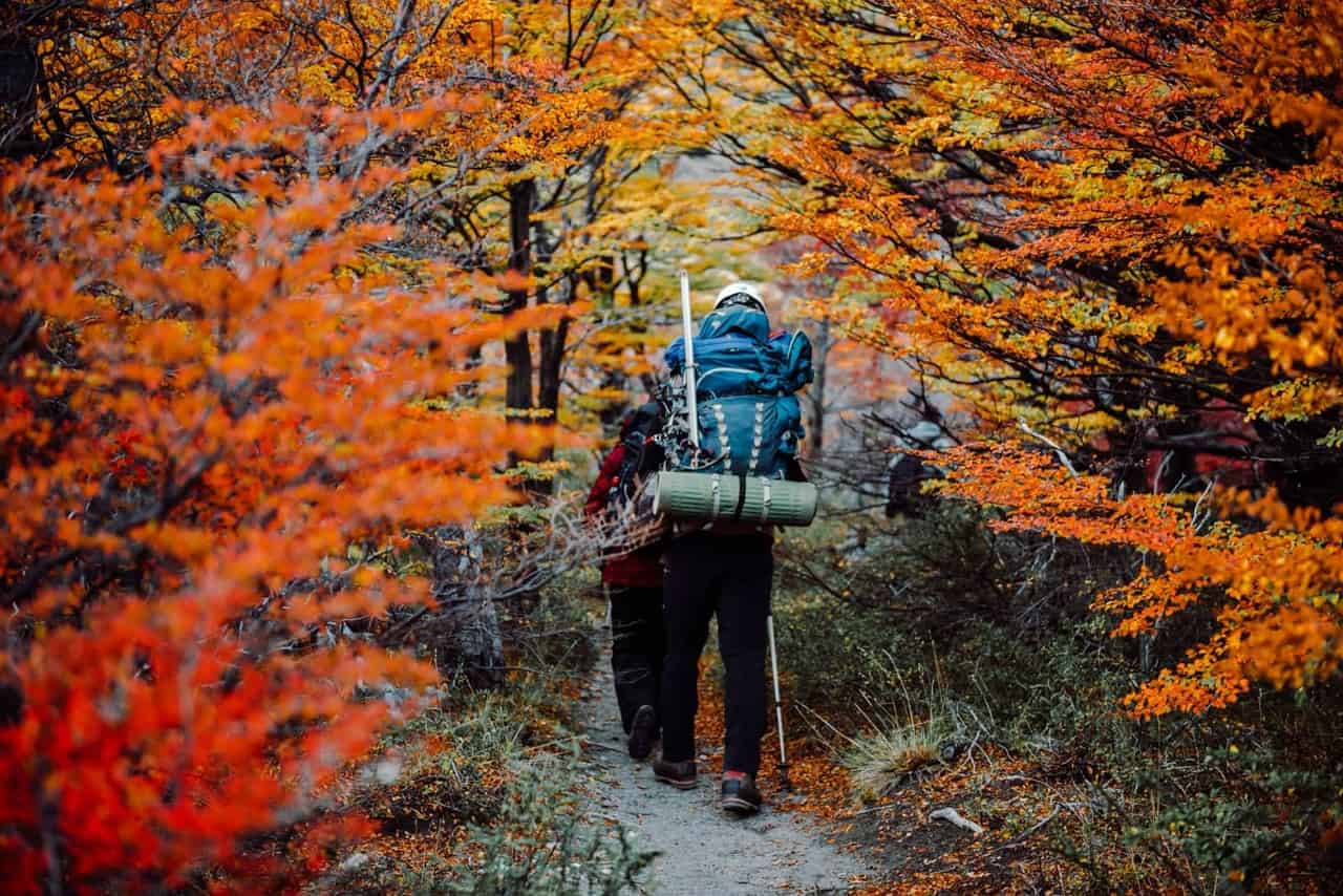 Randonneurs sur un sentier forestier aux couleurs d'automne