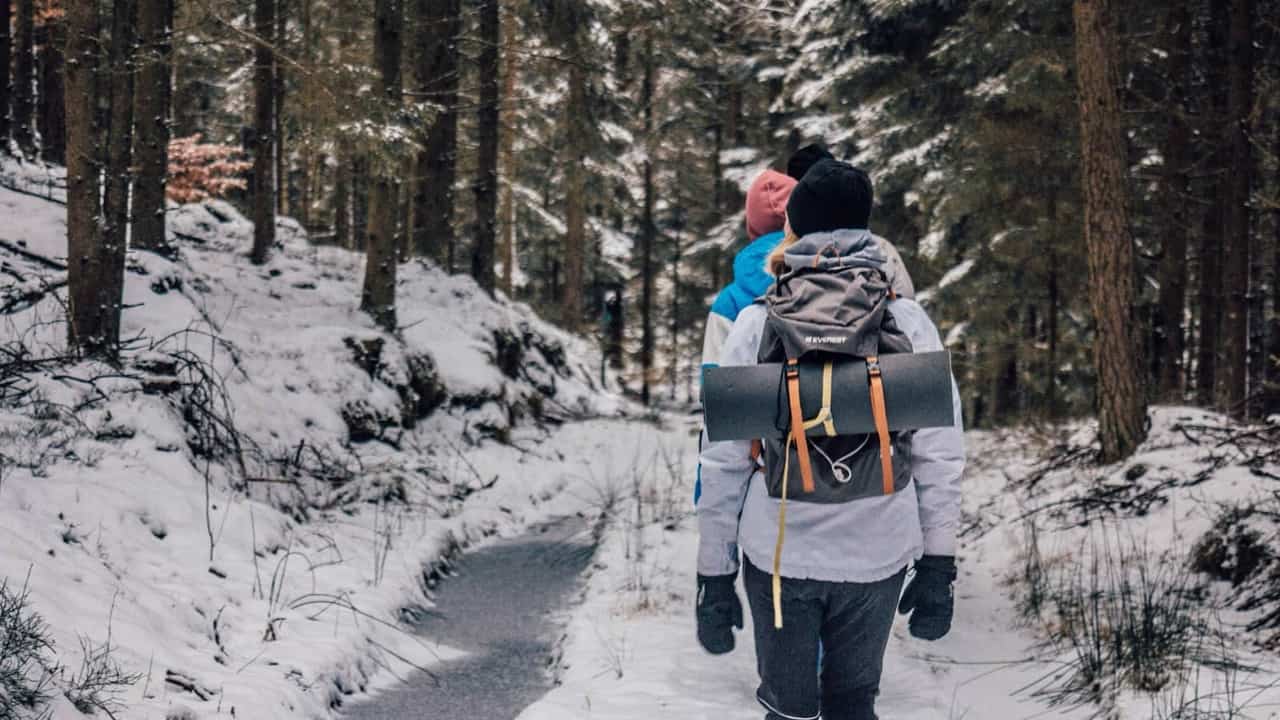 Randonneurs sur un sentier enneigé en forêt de montagne