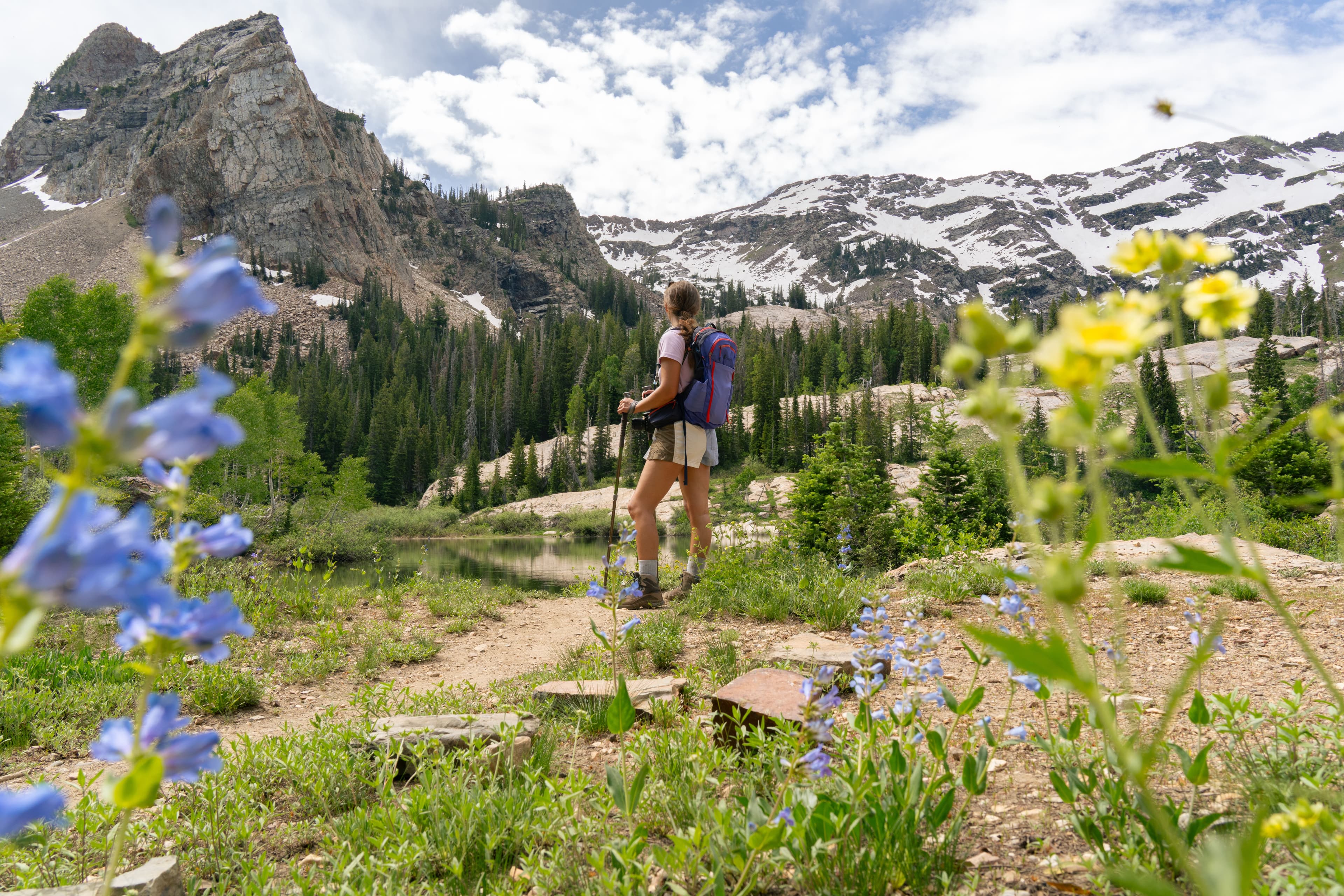 Randonneuse sur un sentier fleuri au printemps en montagne